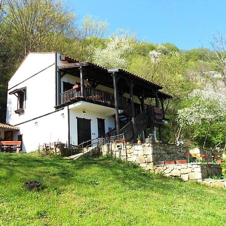 Milkovata Guest House Koshov 외부 사진