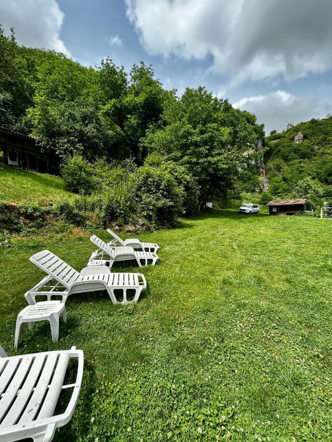 Milkovata Guest House Koshov 외부 사진
