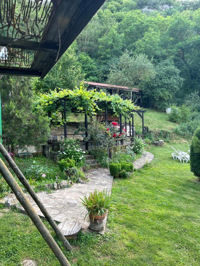 Milkovata Guest House Koshov 외부 사진