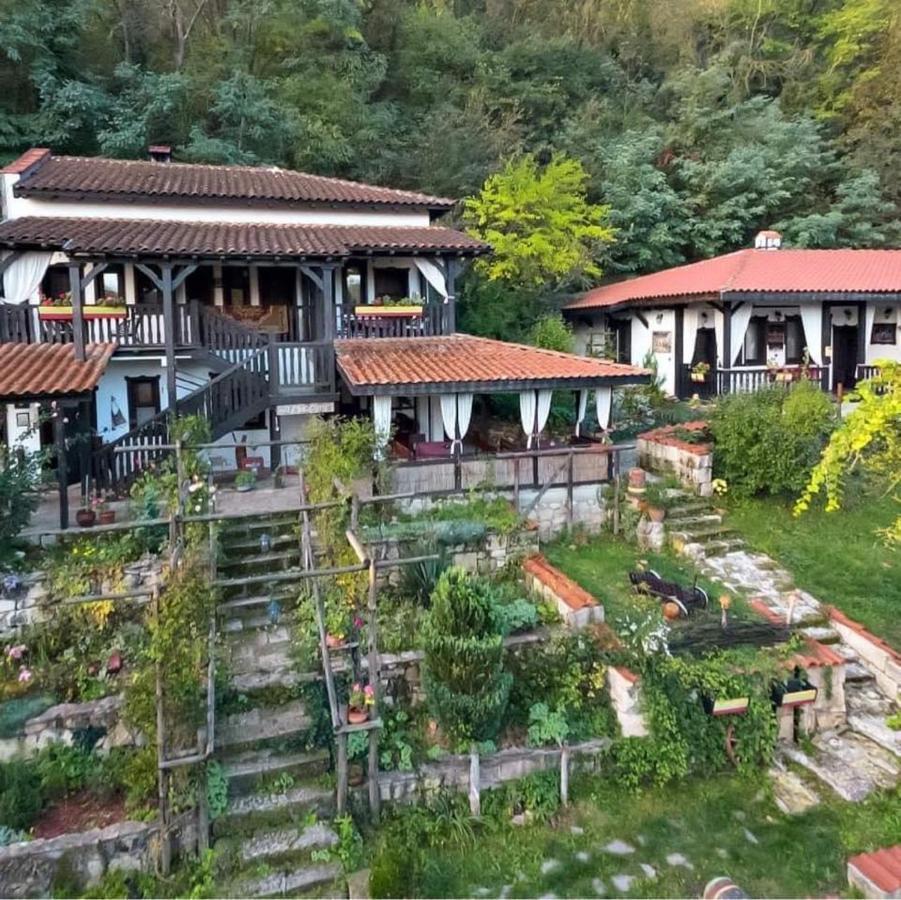 Milkovata Guest House Koshov 외부 사진