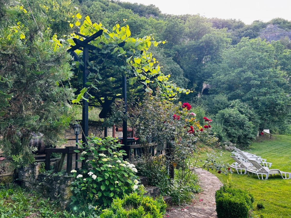 Milkovata Guest House Koshov 외부 사진