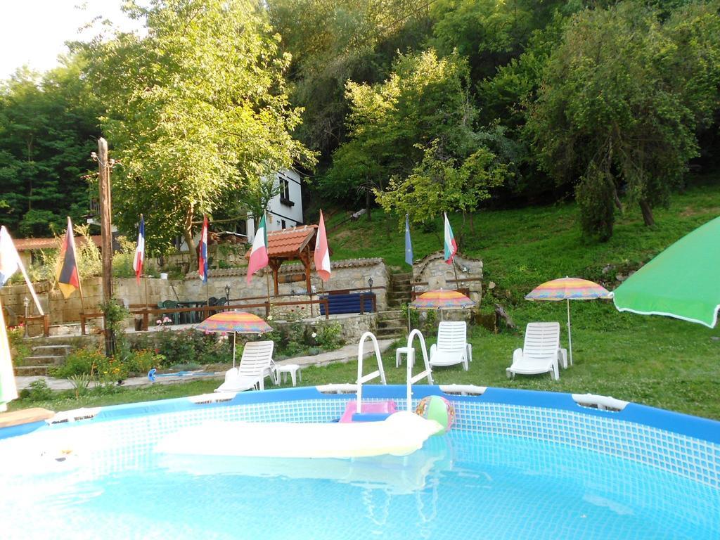Milkovata Guest House Koshov 외부 사진